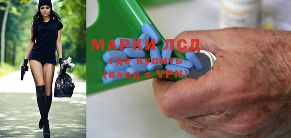 шишки Краснослободск