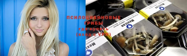 сатива Красноперекопск