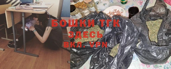 шишки Краснослободск