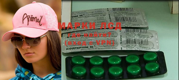 шишки Краснослободск