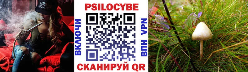 Купить Пушкино Галлюциногенные грибы Magic Shrooms